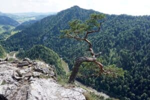 malownicze Pieniny