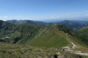 Świnica
