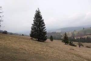 Beskid Sądecki