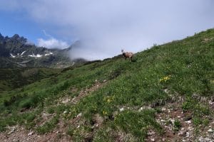 Tatry Bielskie