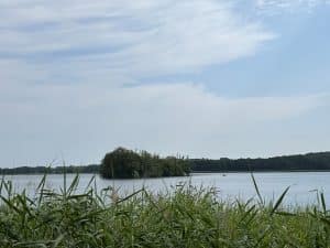 Jezioro Chrzypskie - Wyspa kormoranów