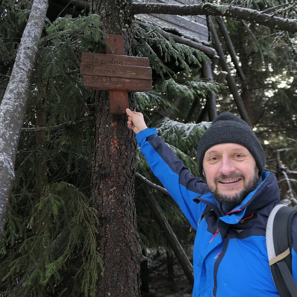 Jagodna Północna