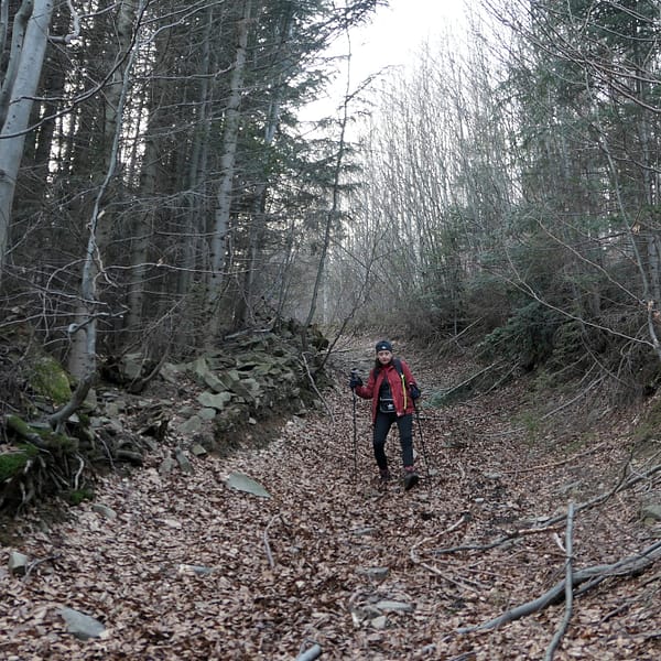 Ścieżką w Beskidzie Żywieckim