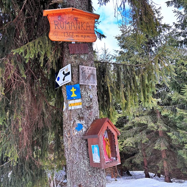 Szczyt Romanka - Beskid Żywiecki